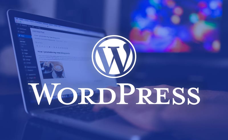 How Easy Is It to Build a Website with WordPress, Expert Guide for 2025