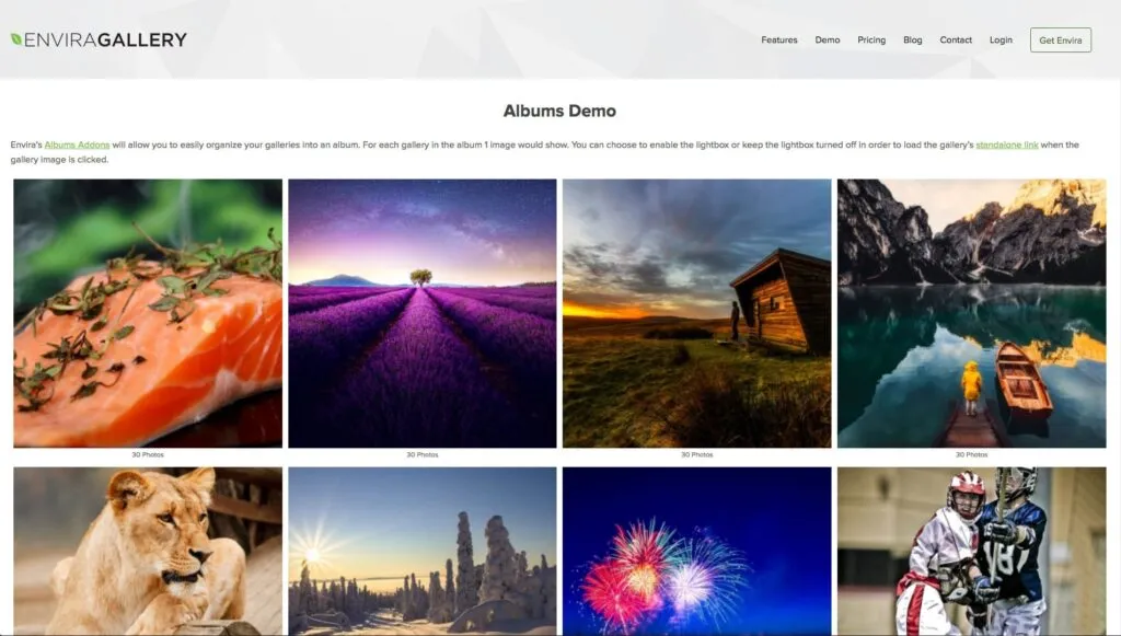 Envira Gallery - Best WordPress Gallery Plugins in 2025