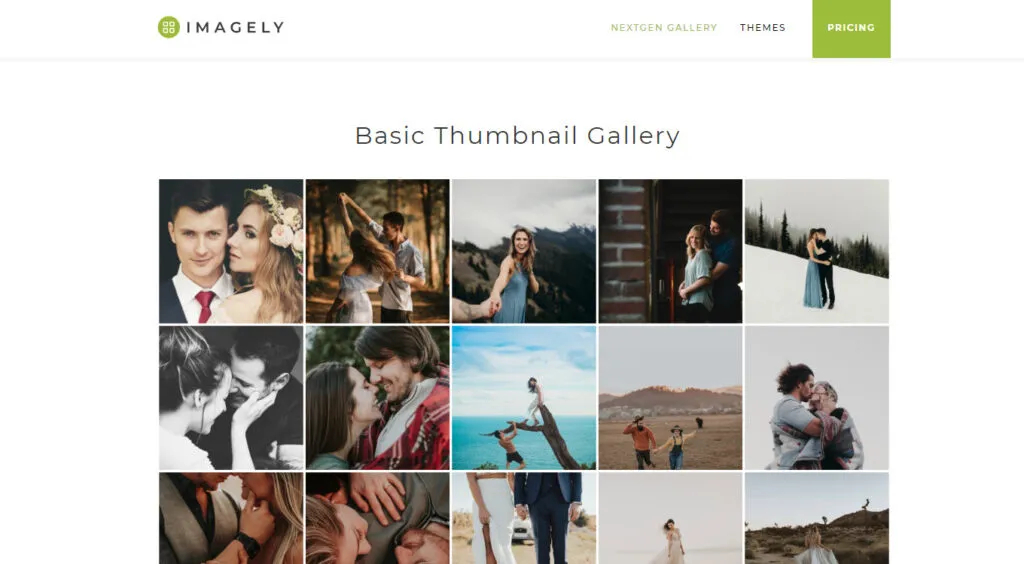 NextGEN Gallery - Best WordPress Gallery Plugins in 2025
