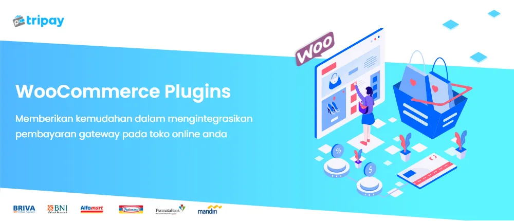 Top Payment Gateways for WordPress Websites