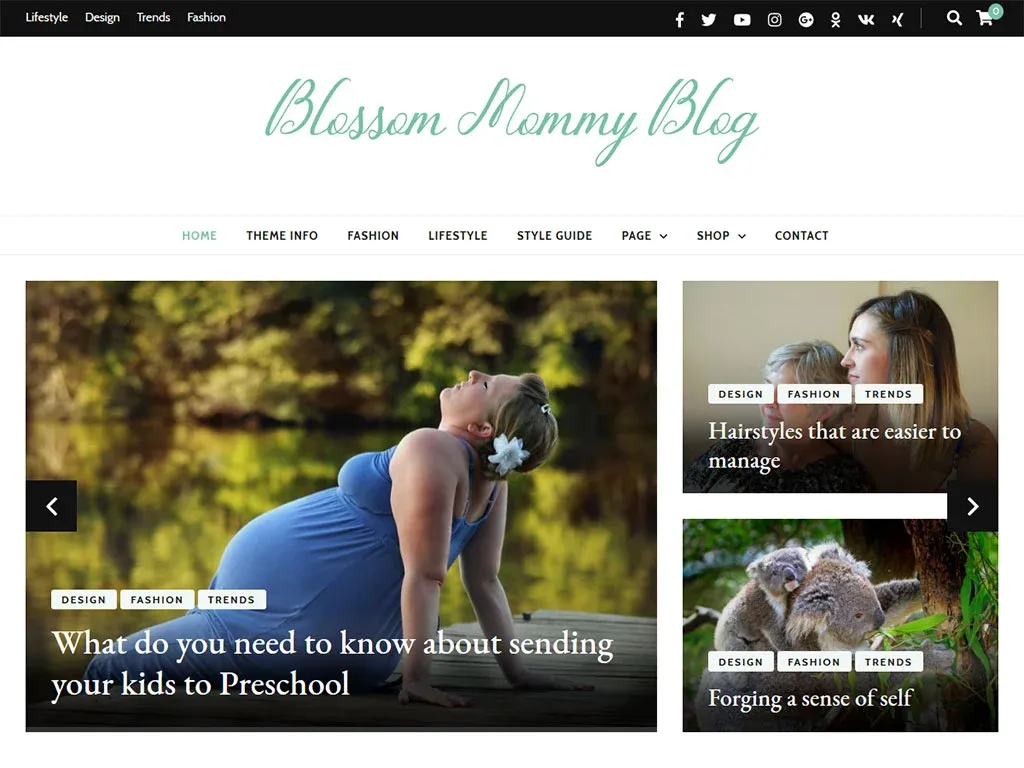 Blossom Mommy Blog - Best Parenting WordPress Themes in 2025